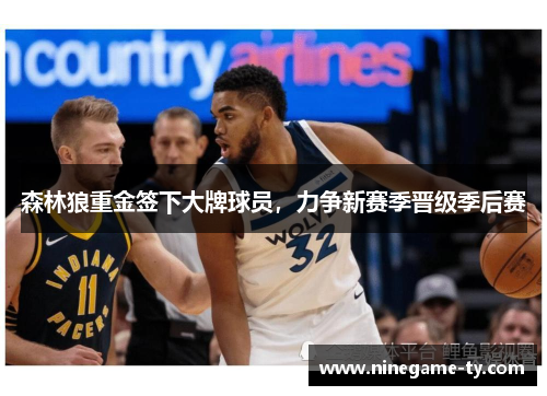 森林狼重金签下大牌球员，力争新赛季晋级季后赛